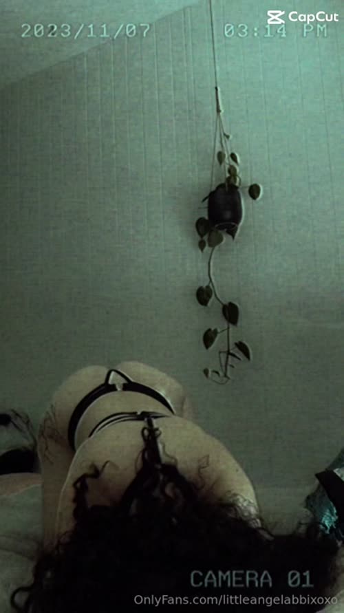 57941f19e423ff61a8fd366e85e4680985b91b3d6a8466e352ed966e373de566 thumbnail