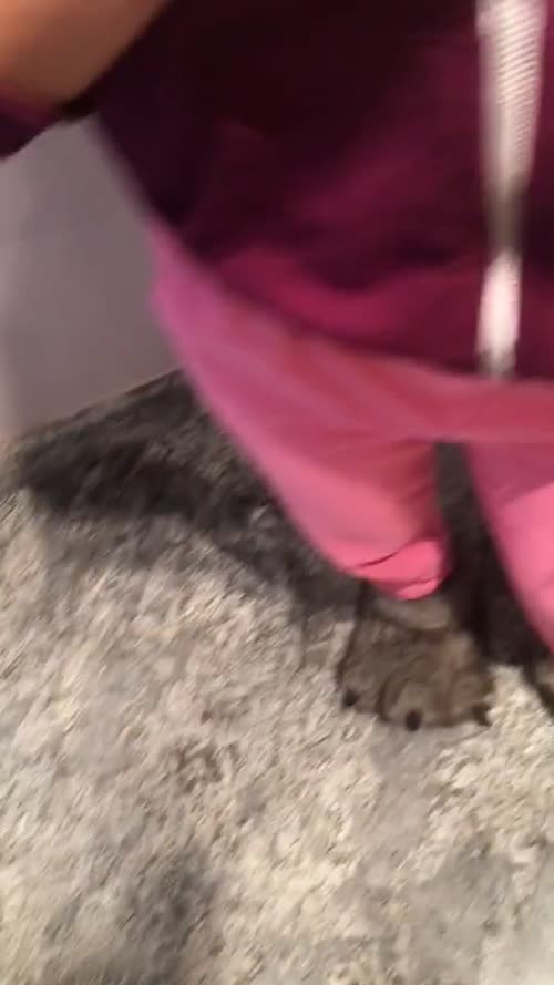 274569210610086307266932037192365525082 thumbnail