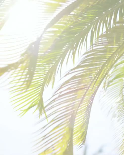 165670855557499599635290449645748082310 thumbnail