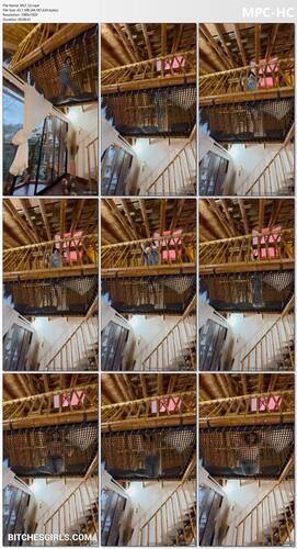 37855277103165009954650703934492157655 thumbnail