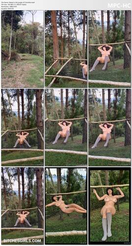 213137370816437771887909689714176335097 thumbnail