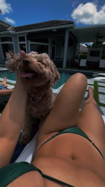 6bdfdc2fa433274258e72d49062f9fdc156b8e27fe6ac081adc437c6d98d529a thumbnail