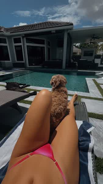 f2a3204a795d7f6cc870a4ffb10e63f04a39703faf011f04a6a552faf2e3e1df thumbnail