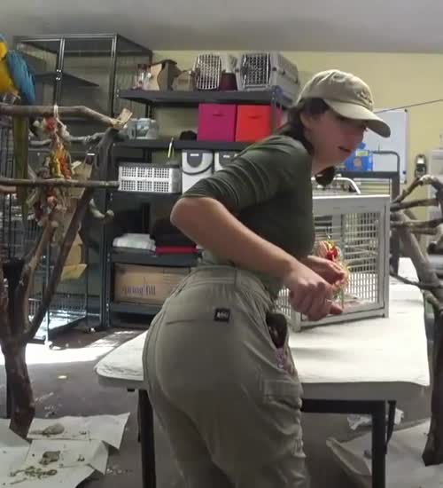 134742849639496465997437714713167709946 thumbnail