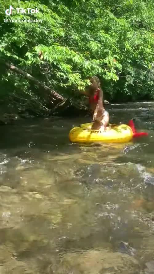 331668486397191507119295795963208760952 thumbnail