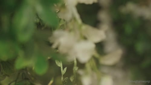 284322894820385520393158817776966178414 thumbnail