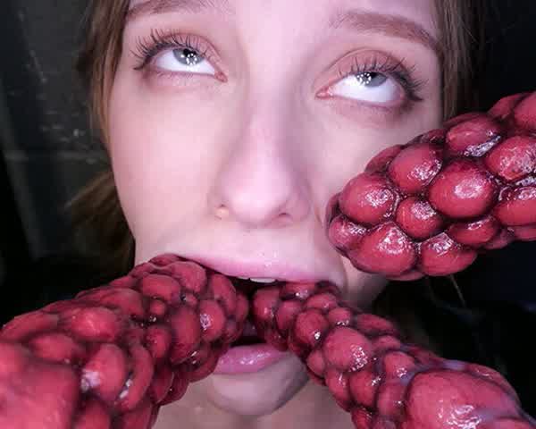 d82c8e1a1518f7397fcf3432a02a288b88ef97d30058833f5fd03b7b734c7ddb thumbnail