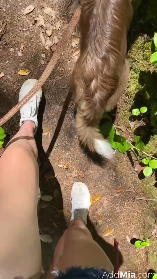 204671309884485492725004472386444739383 thumbnail