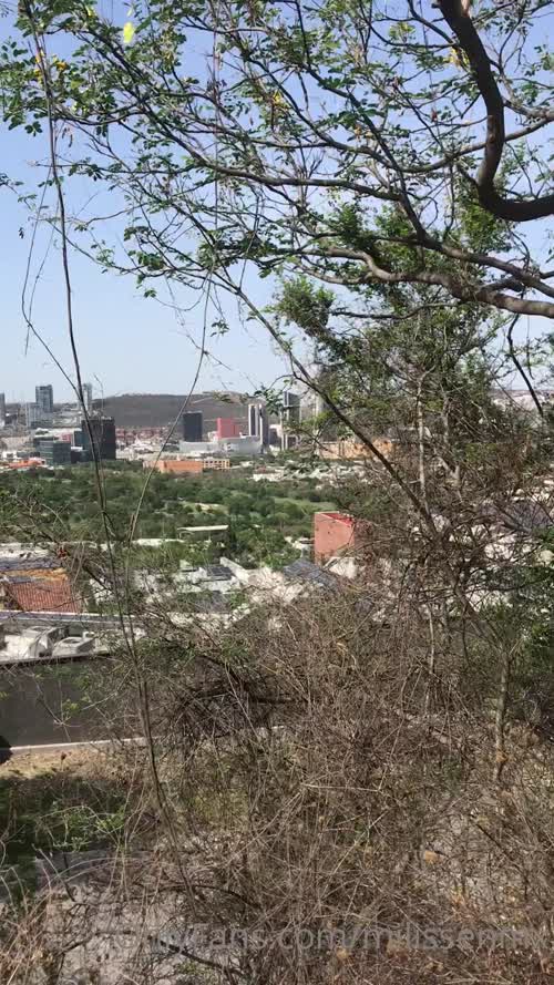 189126122924184677141107078772976129608 thumbnail