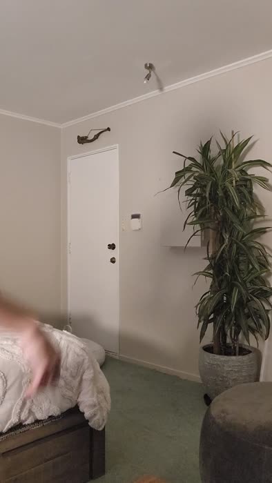 5c054652aa70a603f3265ed8b6a2f4cddb26666df6c33e50c73645e13e76a483 thumbnail