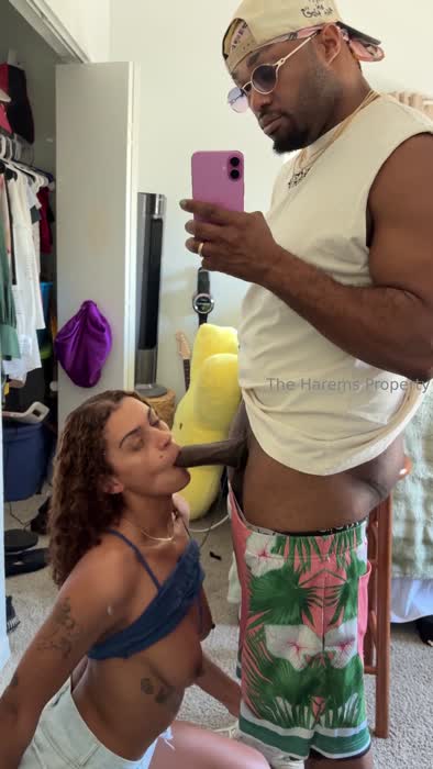 49f86c86947f6716e8bab87606dc67679d535cf51c84a0d0285253345a0897e9 thumbnail