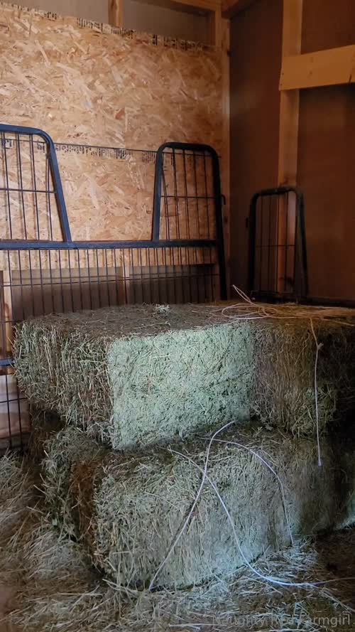 70e256144c5b48a4eddeb8bbd9d659b5fbb9eb753b169ab568040880077155d8 thumbnail