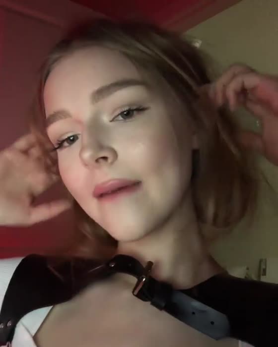 7308343b6ada2ec1dc5446223edcfc648d352c61e69383be72e75dd290c1c194 thumbnail