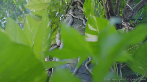 337641834160151655890051877581755424077 thumbnail