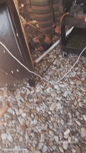 116891819859218830591088638480968087348 thumbnail