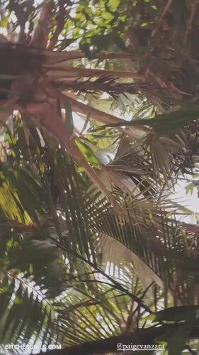 154109225142872652772639991428857058809 thumbnail