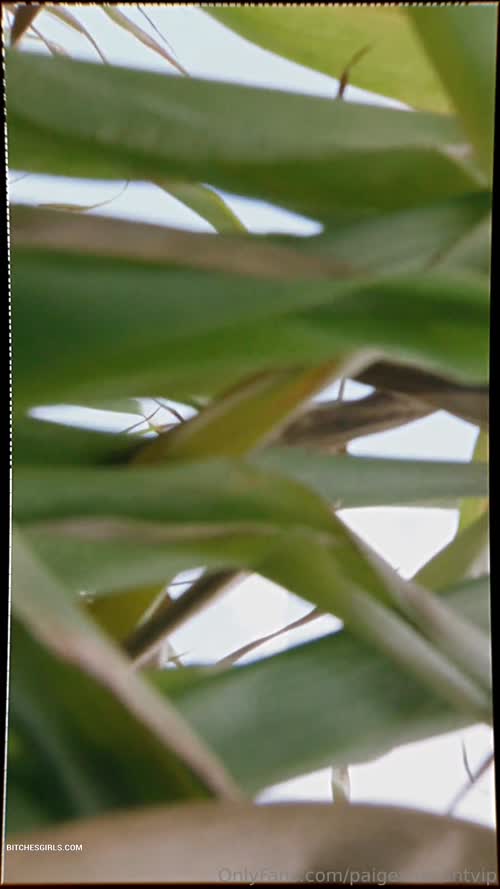 7984ec7b6f475ddb16bca88e470106e779ce3a5111ff889ec781351f99895693 thumbnail