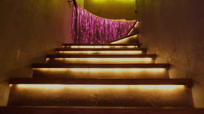 Pelin Akil - Russian Slut Nude Videos