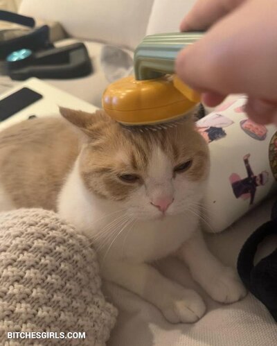 213878323635282333065346263336178016816 thumbnail