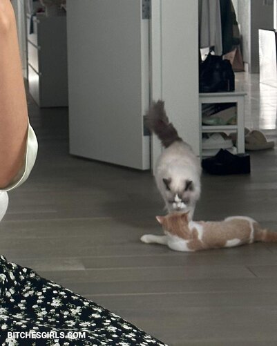 230145135466071685863941715441812635417 thumbnail