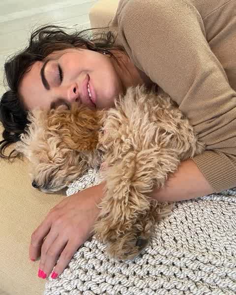 1913a275b9ff3f30c6f0119ea301284f8b5a1533c8957152b39cef2d79d104d5 thumbnail