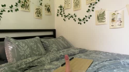 52709611d0413be4a5fe81266f60ad540b954efe34deebcb274ea85d845cb752 thumbnail