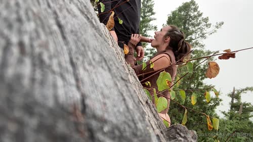 263613154026017026507015811222032893198 thumbnail