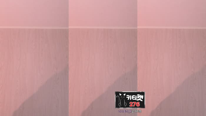 a48ed3f4e91d1e7643c824e4c198c84bdb7fe026835fd354b9b24e95bdac31ab thumbnail