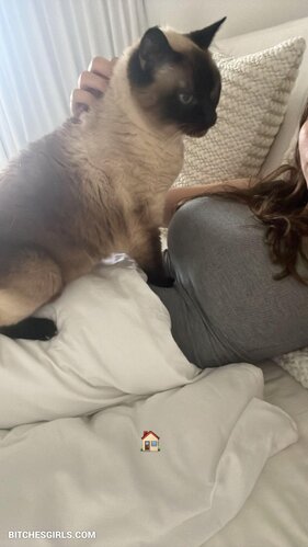 278548616782669077601838160559565111534 thumbnail