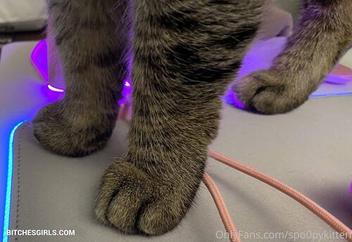 112066050148548224073856893251859238252 thumbnail