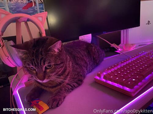 252604335628153789779238577643005514165 thumbnail