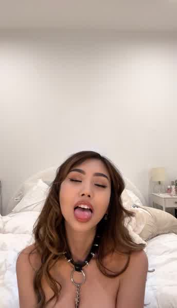 42efda69993501b543a1fdbc931375242c32fb6862fc07b264ca62b04b1c0ff0 thumbnail