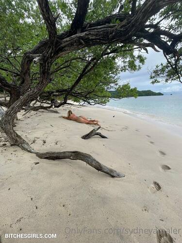 46325366693220458100904676194000650181 thumbnail