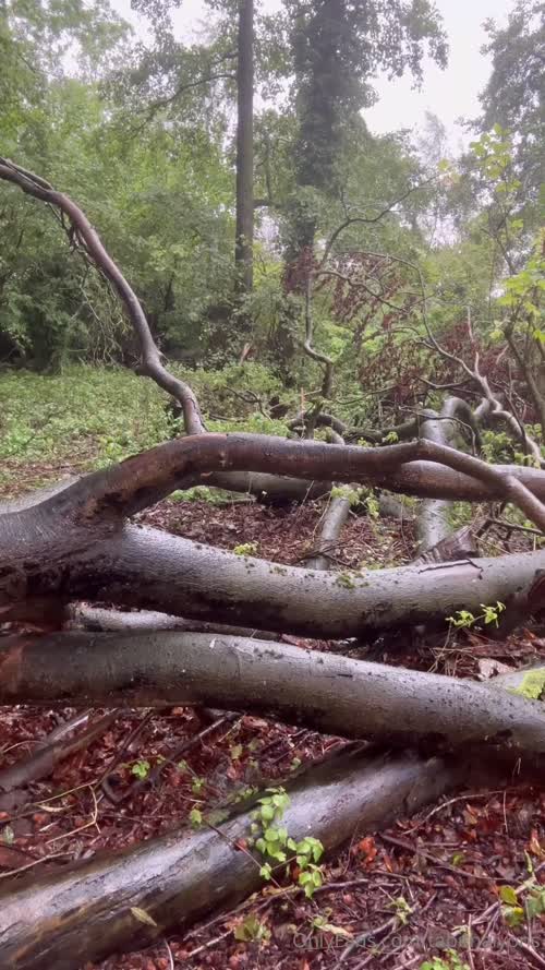 Tabitha Lyons Cosplay Porn - Tabitha Cosplay Porn Videos