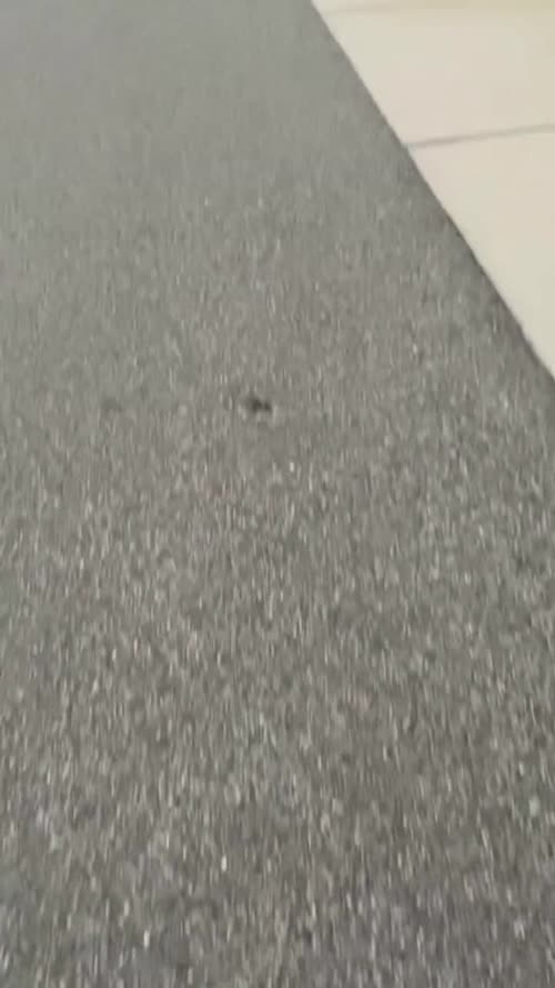 138671212512340901887810089429863397084 thumbnail