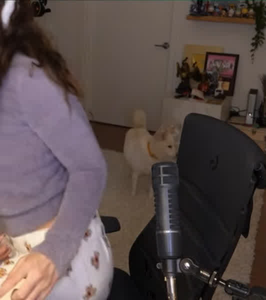 30c03a76611ed5c9b3b812c270979ba246fef6ee8adfa7a34608f2facf73b018 thumbnail