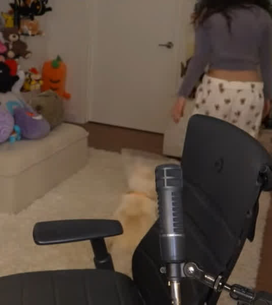 490d327da265b353723a80af93321f2233b1be0d99a8e05c5a5ac88015720dfd thumbnail