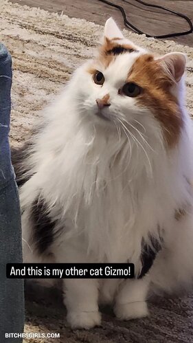 253525718216061786583842889067192298310 thumbnail