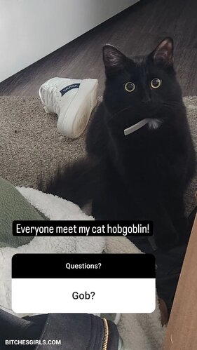 292036630848860454606209788418009969875 thumbnail