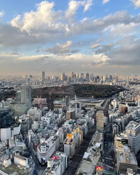 41625b9558845de803e0c989ca6b7d3cfa95e1200c787dd30a17f511b23bea64 thumbnail