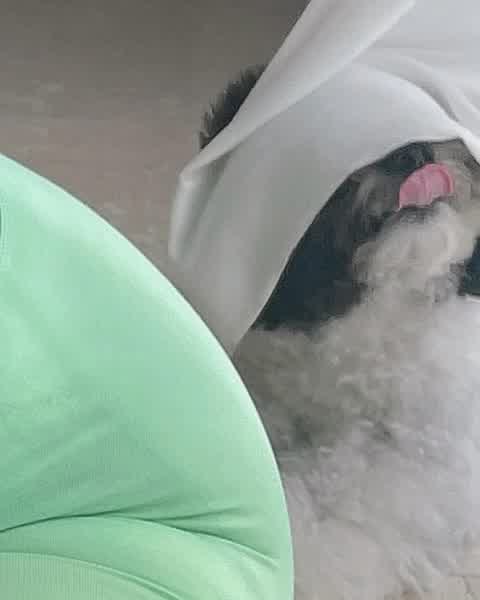 de22e0feb062e4a7d1833720616eafda0d44c5af5aead4ba08537b54c44c1bea thumbnail